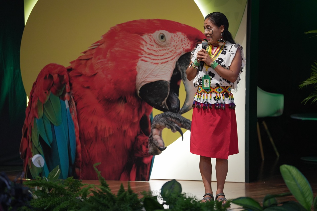 SOSTENIBILIDAD & IMPACTO SOCIAL - Imagen 3