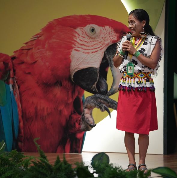 SOSTENIBILIDAD & IMPACTO SOCIAL - Imagen 1